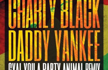 Charly Black Gyal A Party Animal